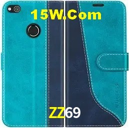 Experiência VIP ZZ69